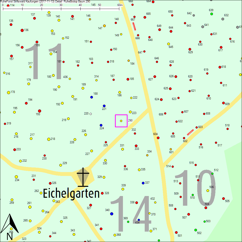 Detailkarte zu Baum 290