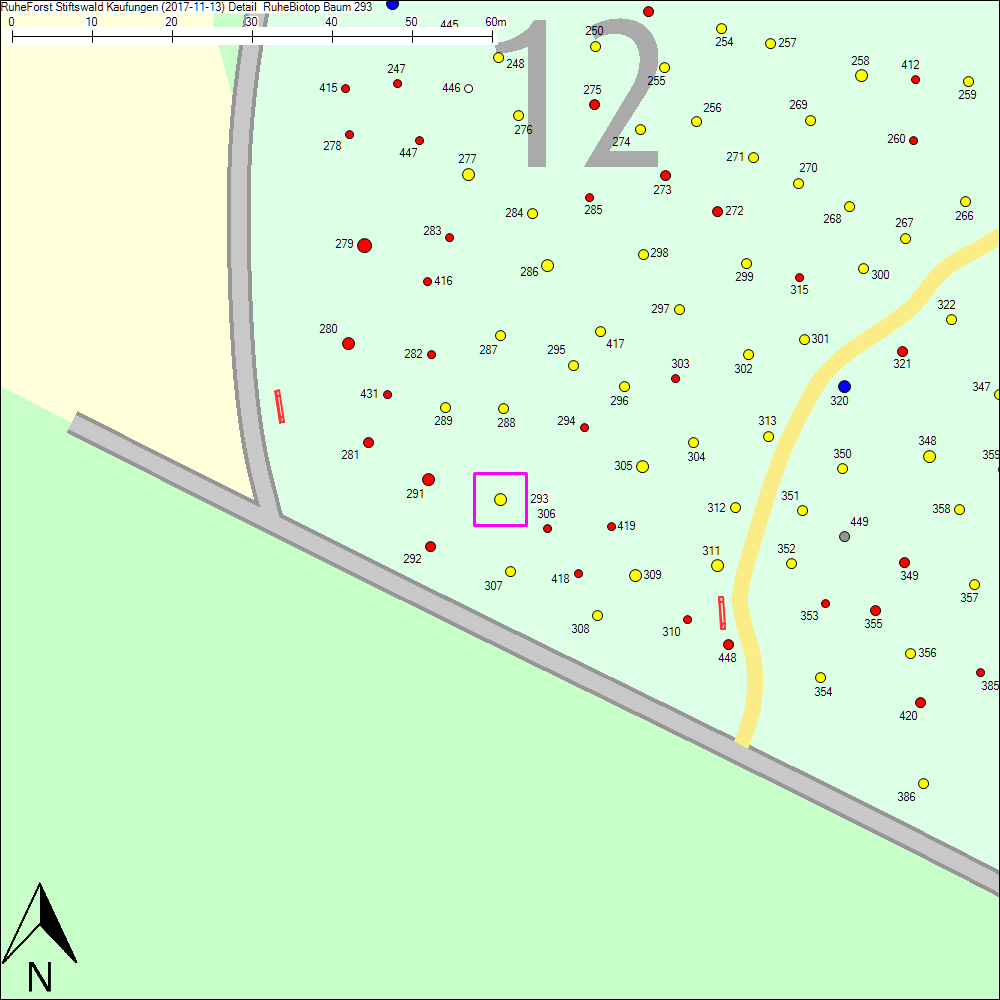 Detailkarte zu Baum 293