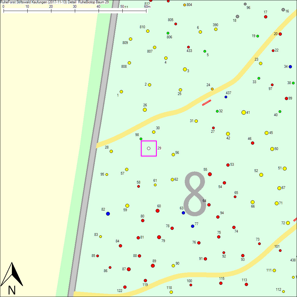 Detailkarte zu Baum 29