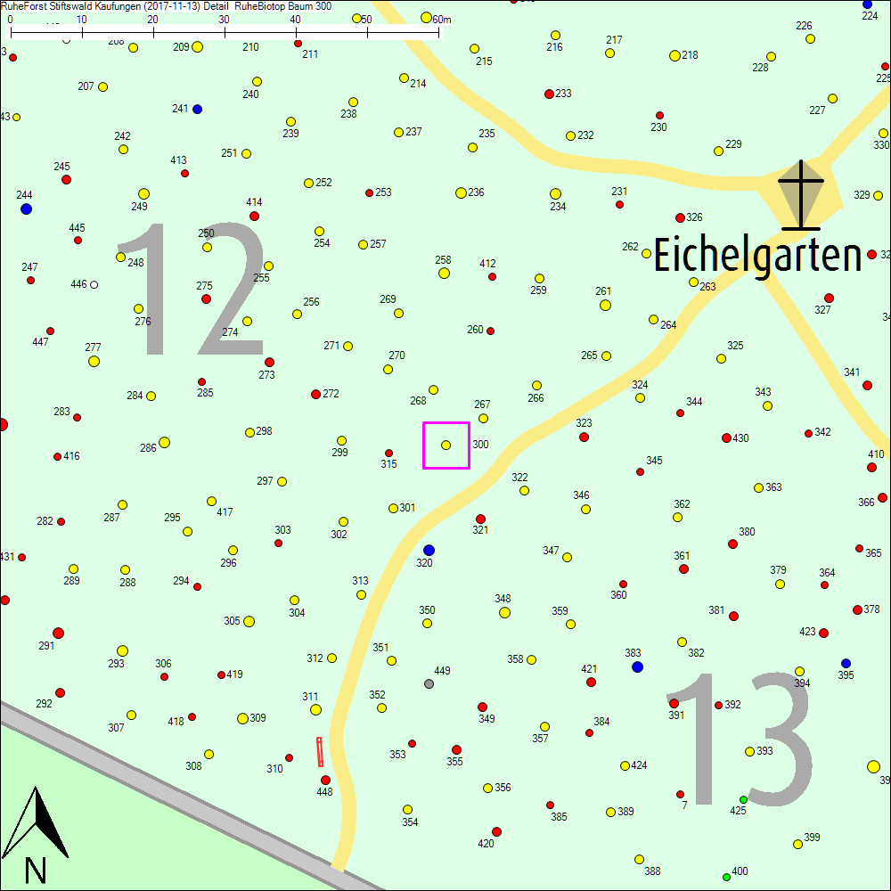 Detailkarte zu Baum 300