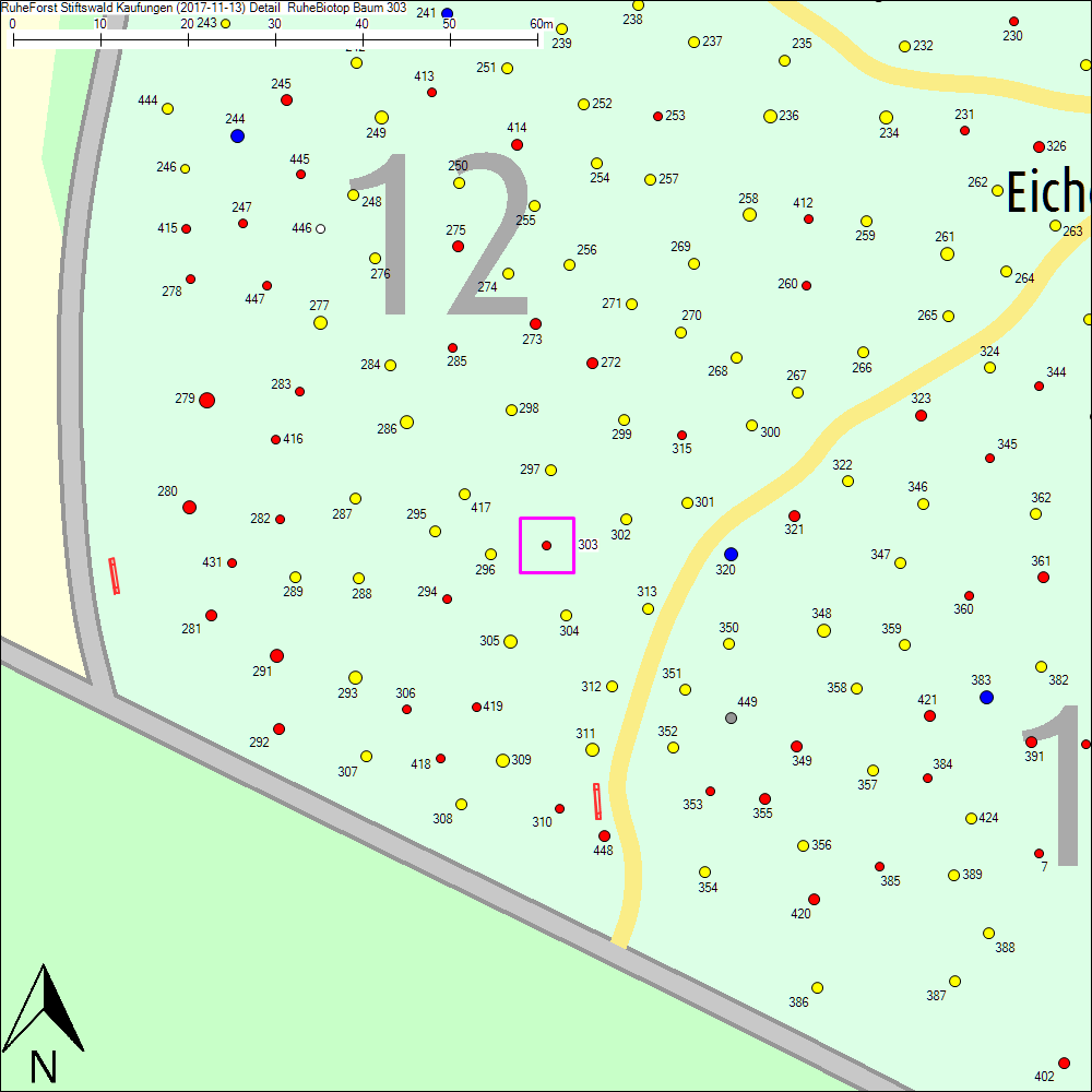 Detailkarte zu Baum 303