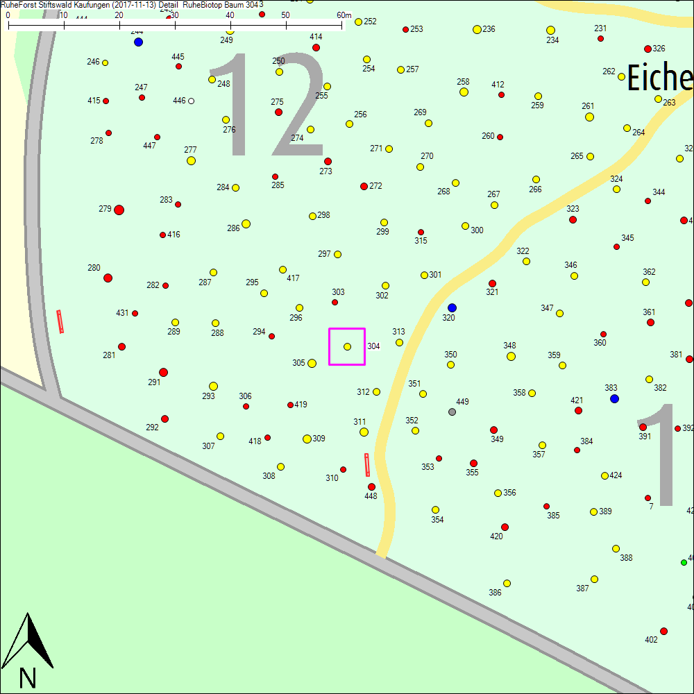 Detailkarte zu Baum 304