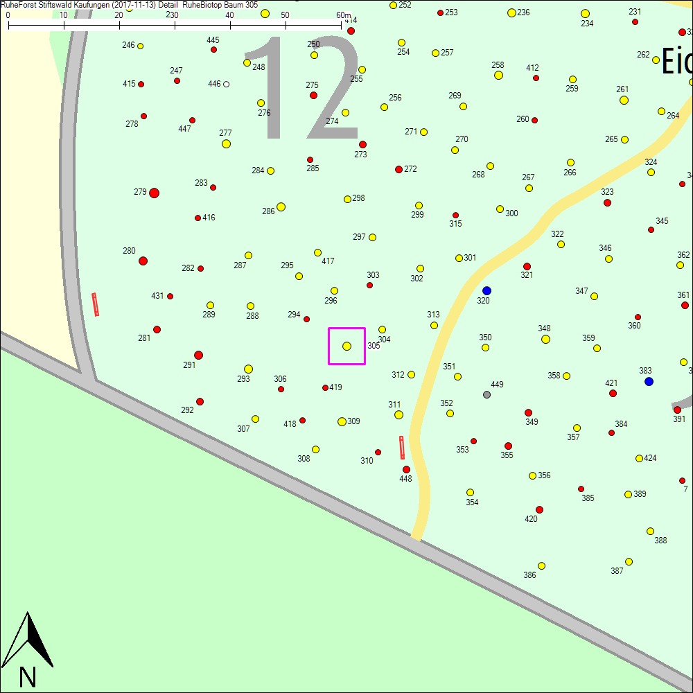 Detailkarte zu Baum 305