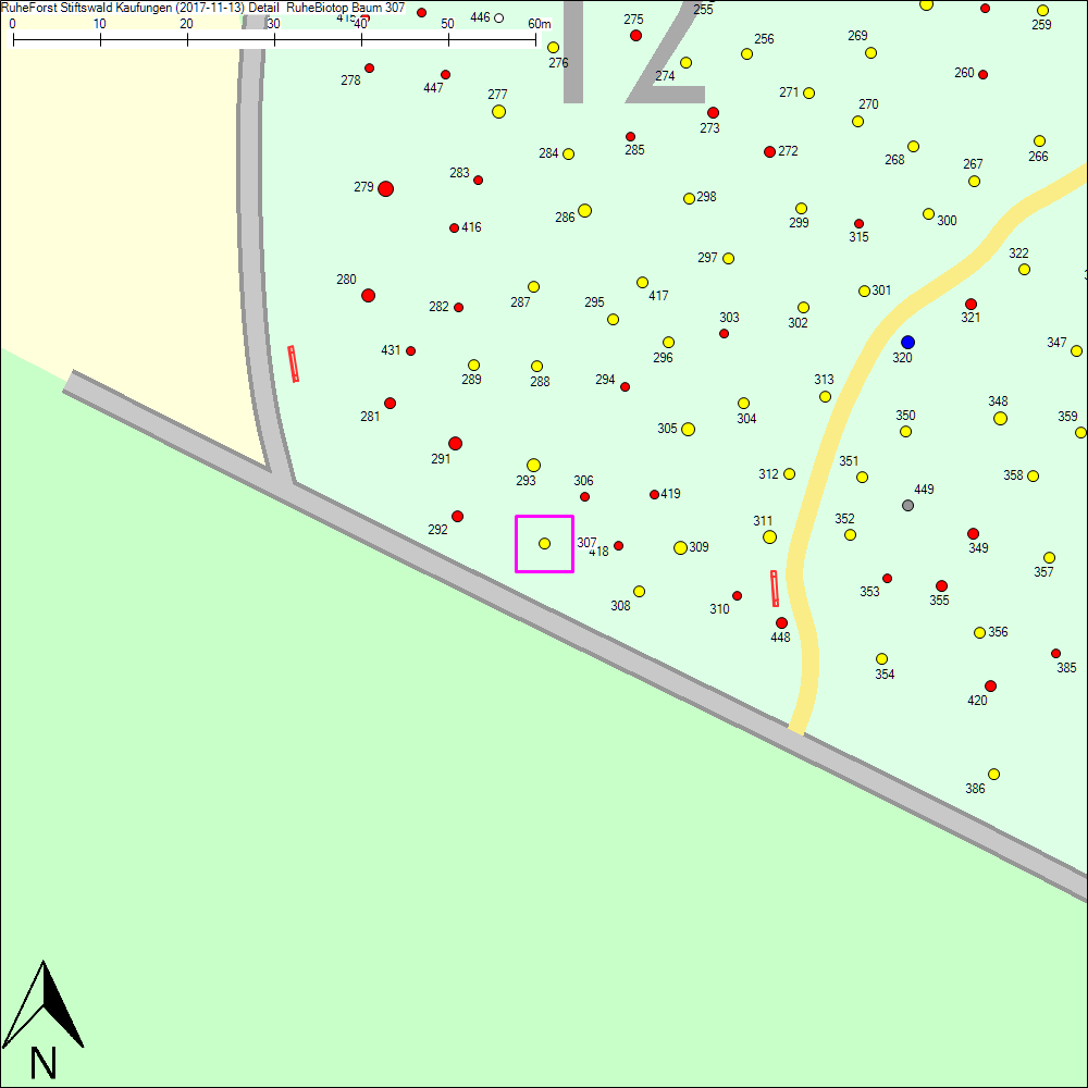 Detailkarte zu Baum 307