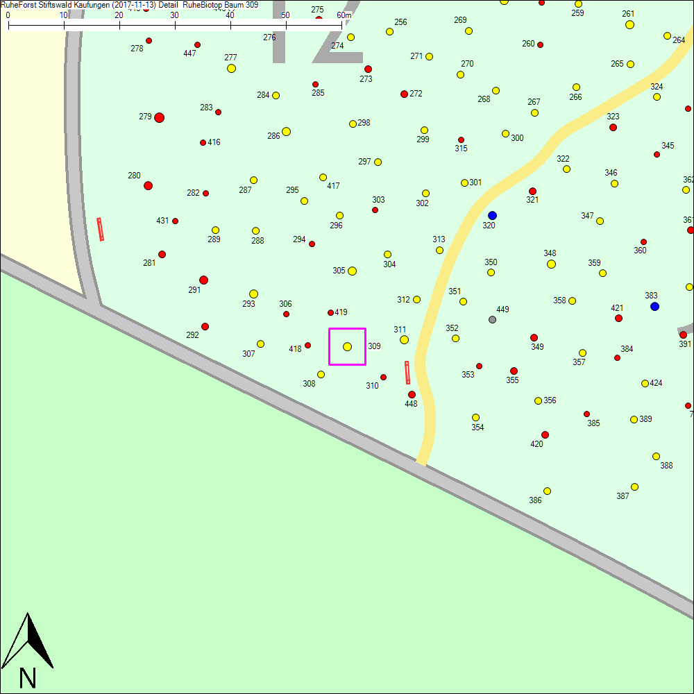 Detailkarte zu Baum 309