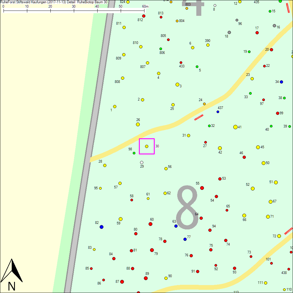 Detailkarte zu Baum 30
