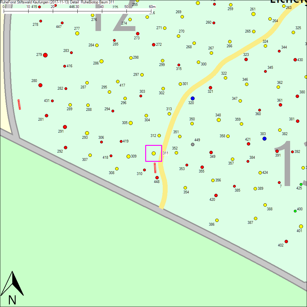 Detailkarte zu Baum 311