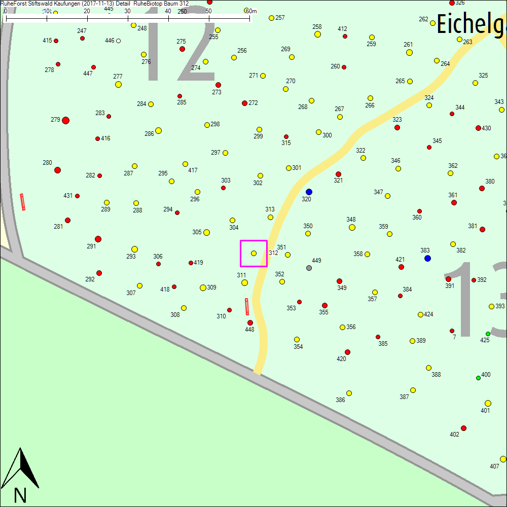 Detailkarte zu Baum 312