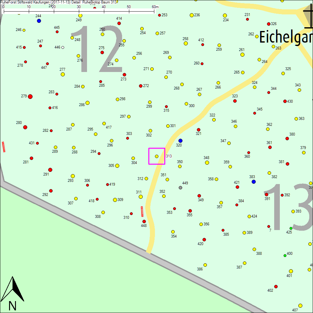 Detailkarte zu Baum 313