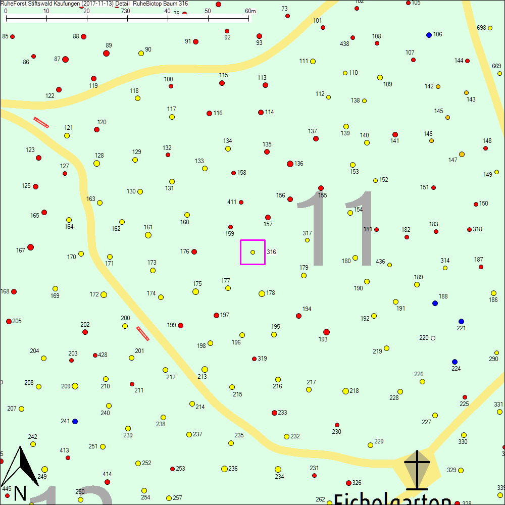 Detailkarte zu Baum 316