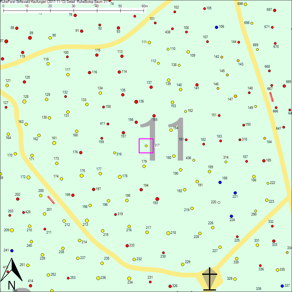 Detailkarte zu Baum 317