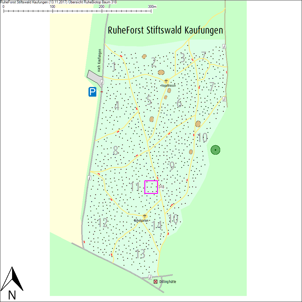 &Uuml;bersichtskarte zu Baum 318