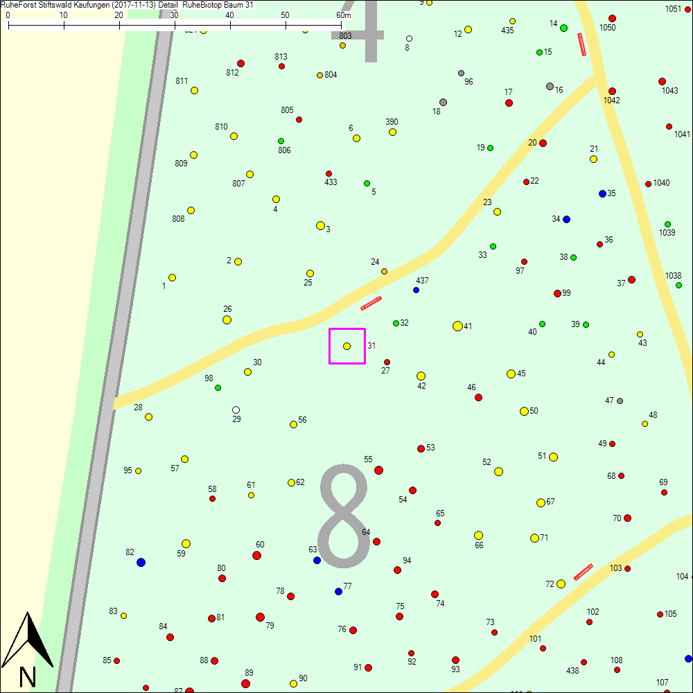 Detailkarte zu Baum 31