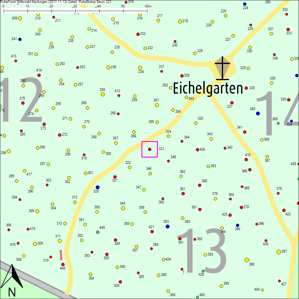 Detailkarte zu Baum 323
