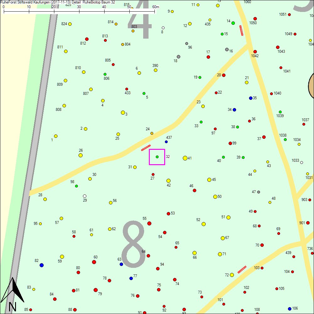 Detailkarte zu Baum 32