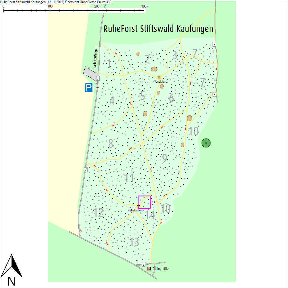 &Uuml;bersichtskarte zu Baum 330
