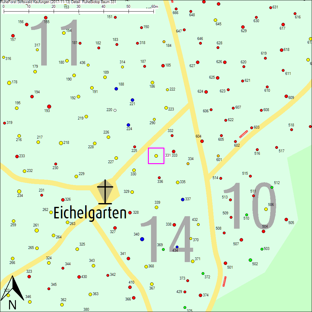 Detailkarte zu Baum 331