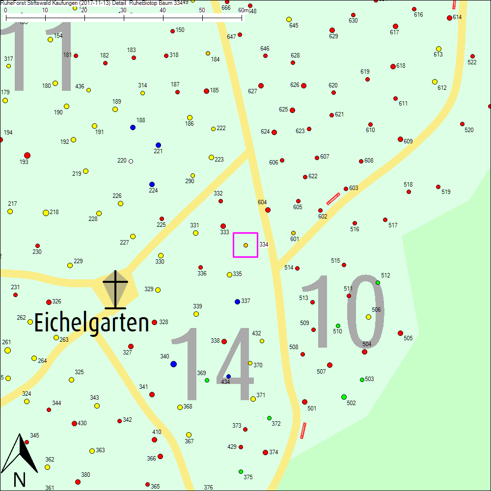 Detailkarte zu Baum 334