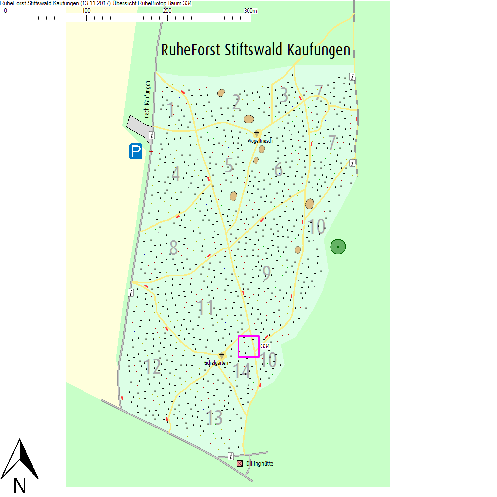 &Uuml;bersichtskarte zu Baum 334