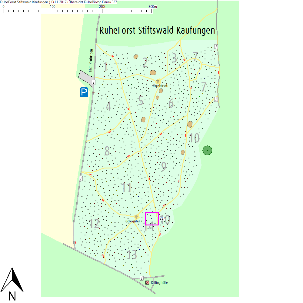 &Uuml;bersichtskarte zu Baum 337