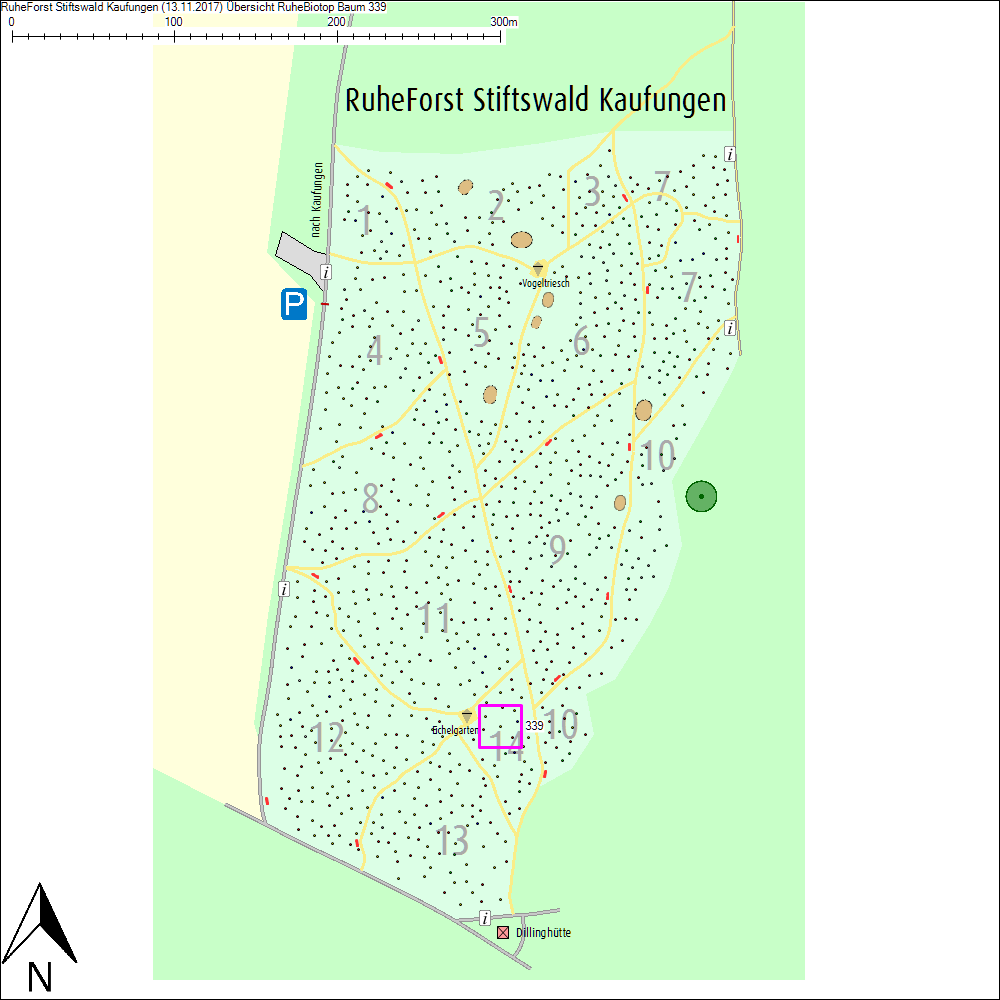&Uuml;bersichtskarte zu Baum 339