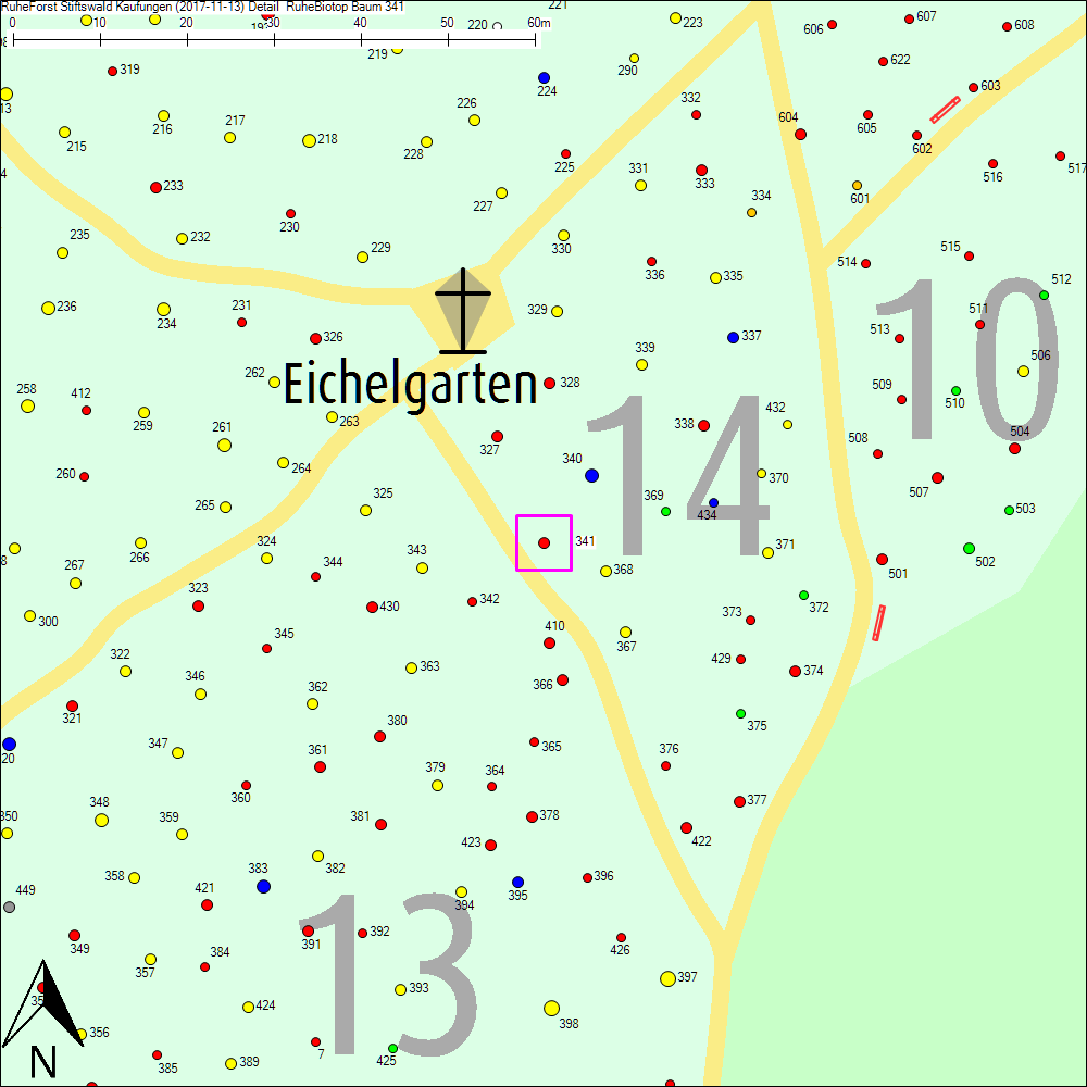 Detailkarte zu Baum 341