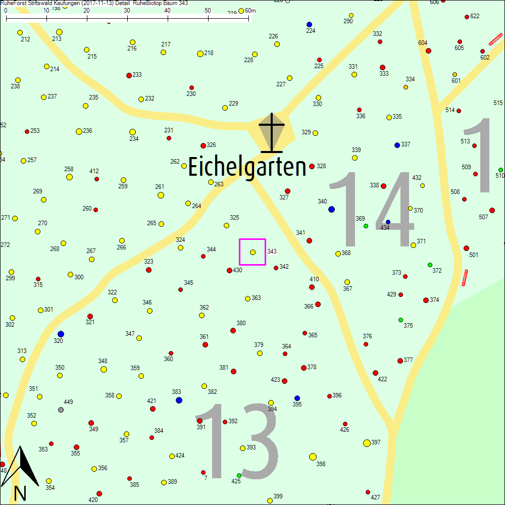 Detailkarte zu Baum 343