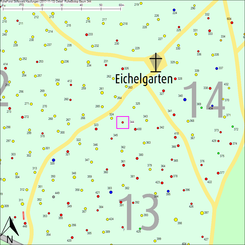 Detailkarte zu Baum 344