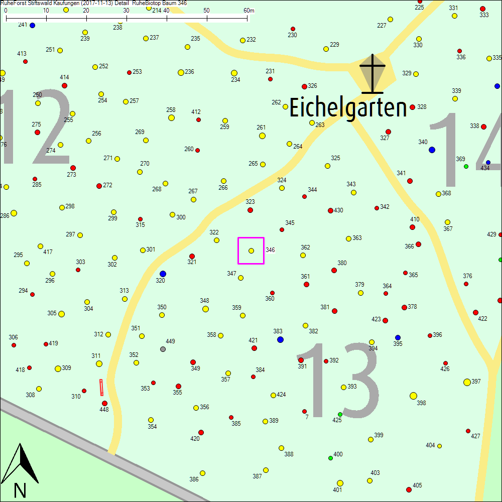 Detailkarte zu Baum 346