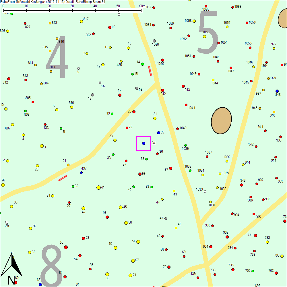 Detailkarte zu Baum 34