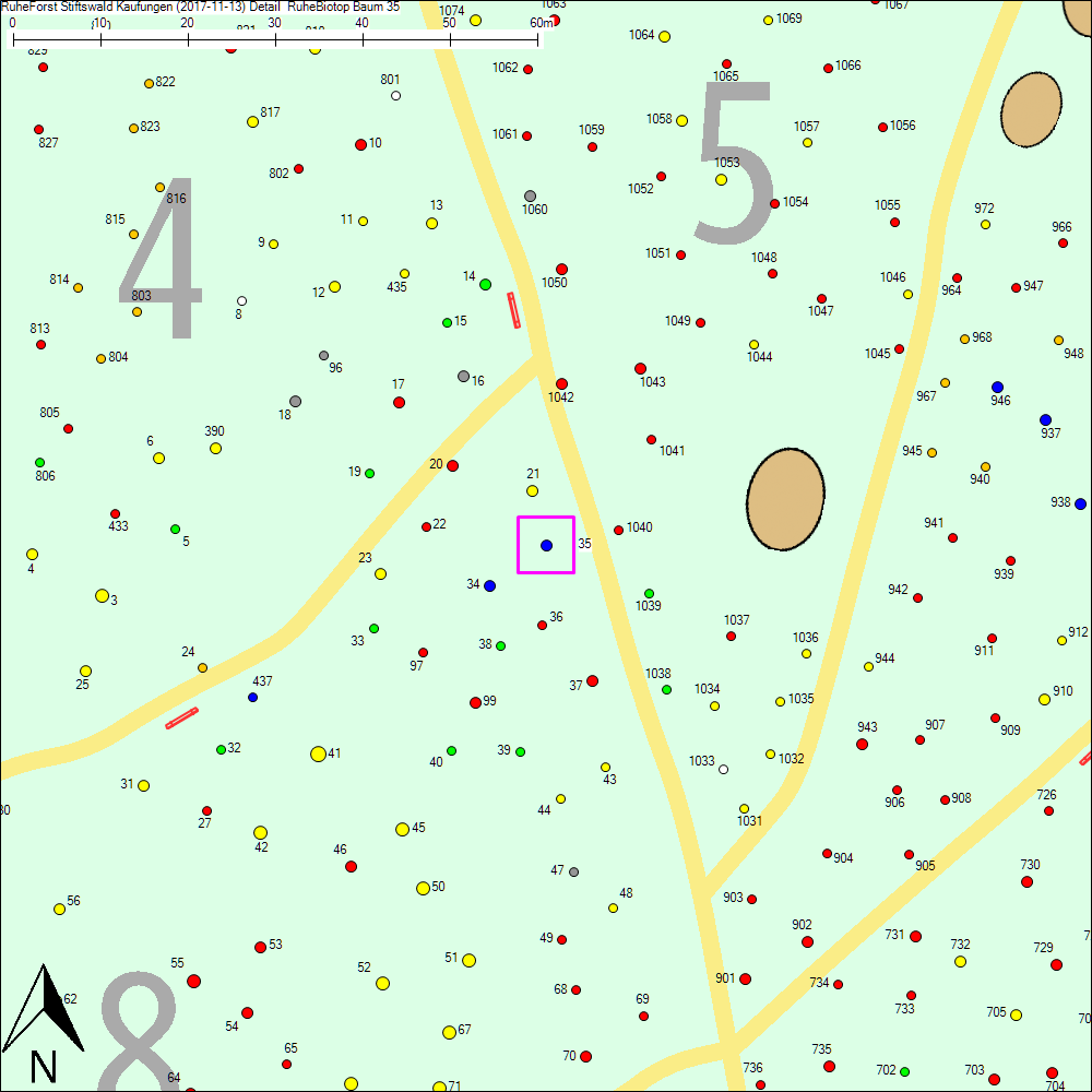Detailkarte zu Baum 35