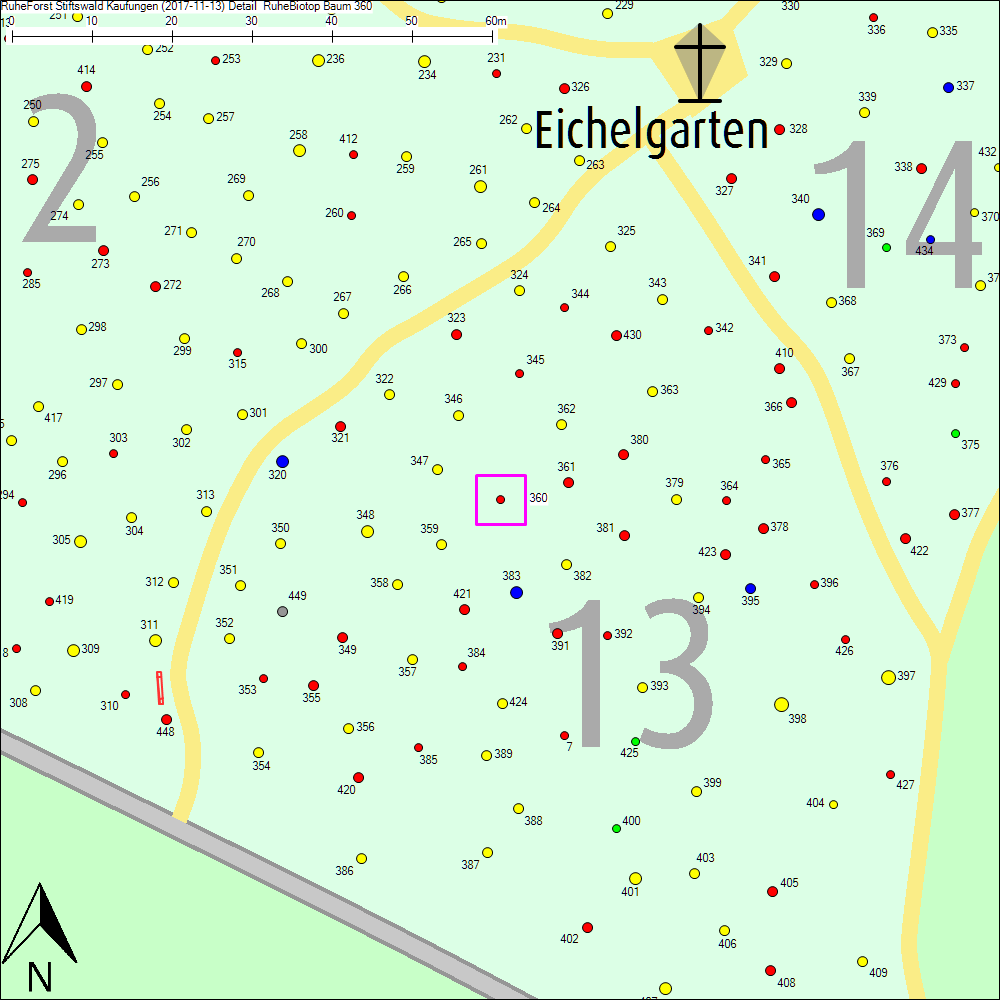 Detailkarte zu Baum 360