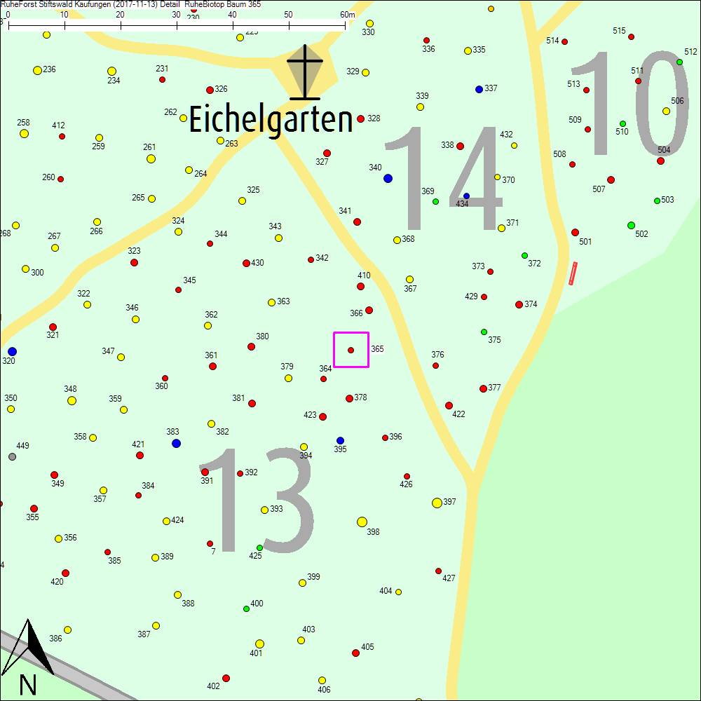 Detailkarte zu Baum 365