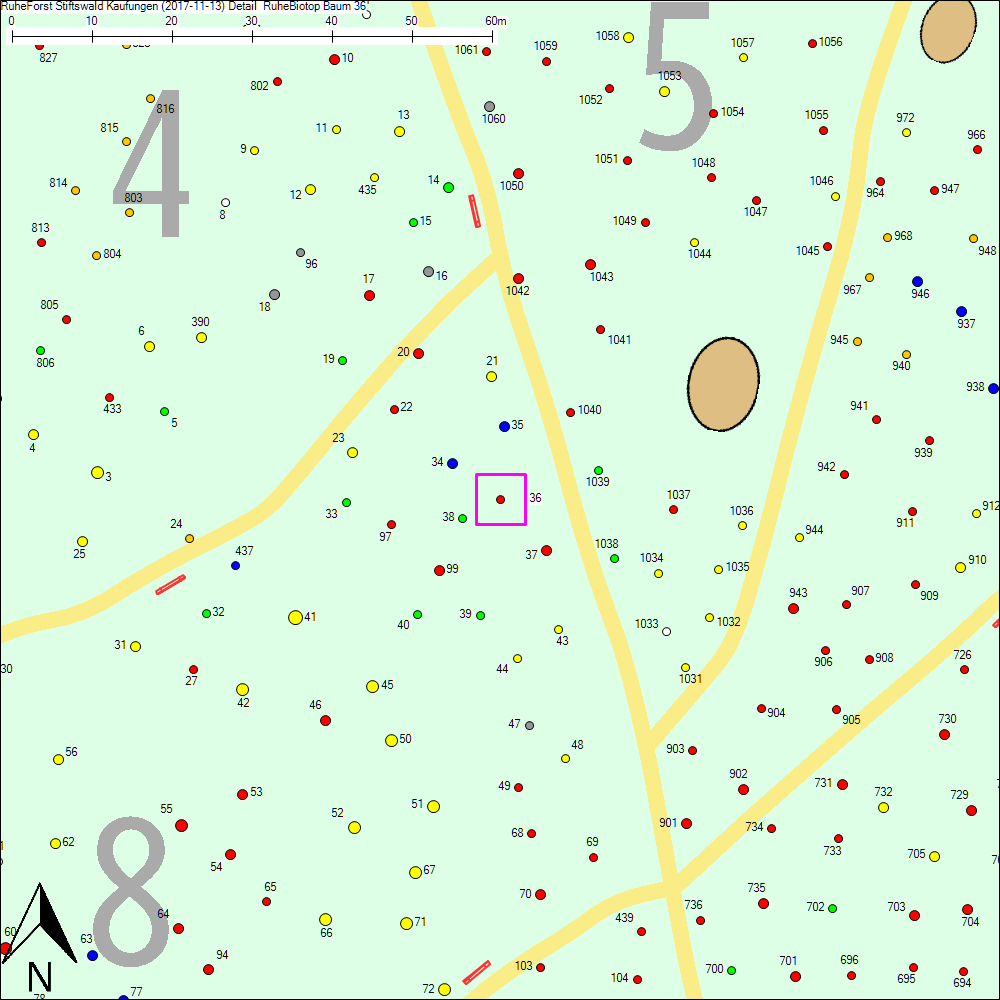 Detailkarte zu Baum 36