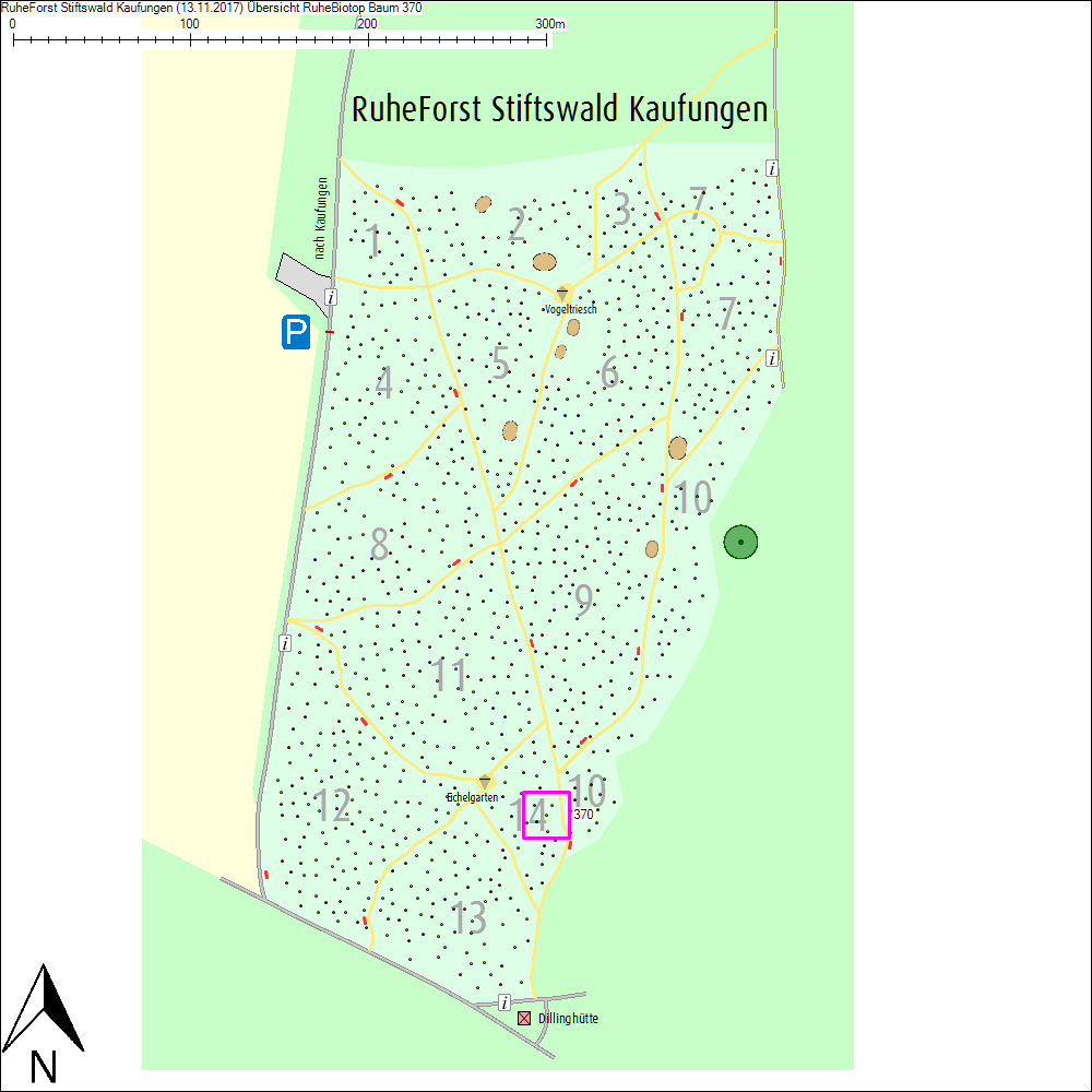 &Uuml;bersichtskarte zu Baum 370