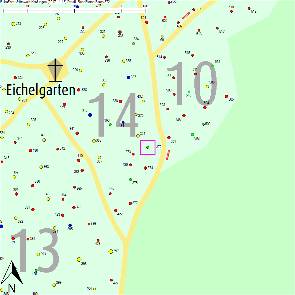 Detailkarte zu Baum 372