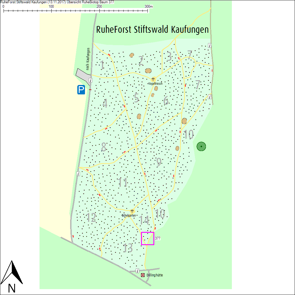 &Uuml;bersichtskarte zu Baum 377