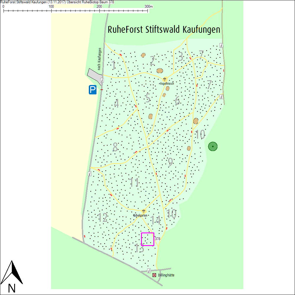 &Uuml;bersichtskarte zu Baum 378