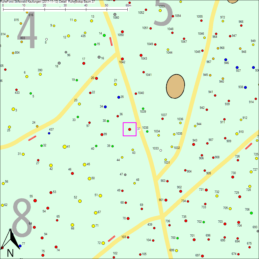 Detailkarte zu Baum 37