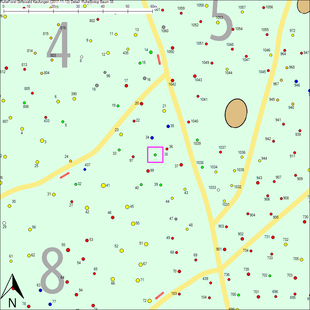 Detailkarte zu Baum 38