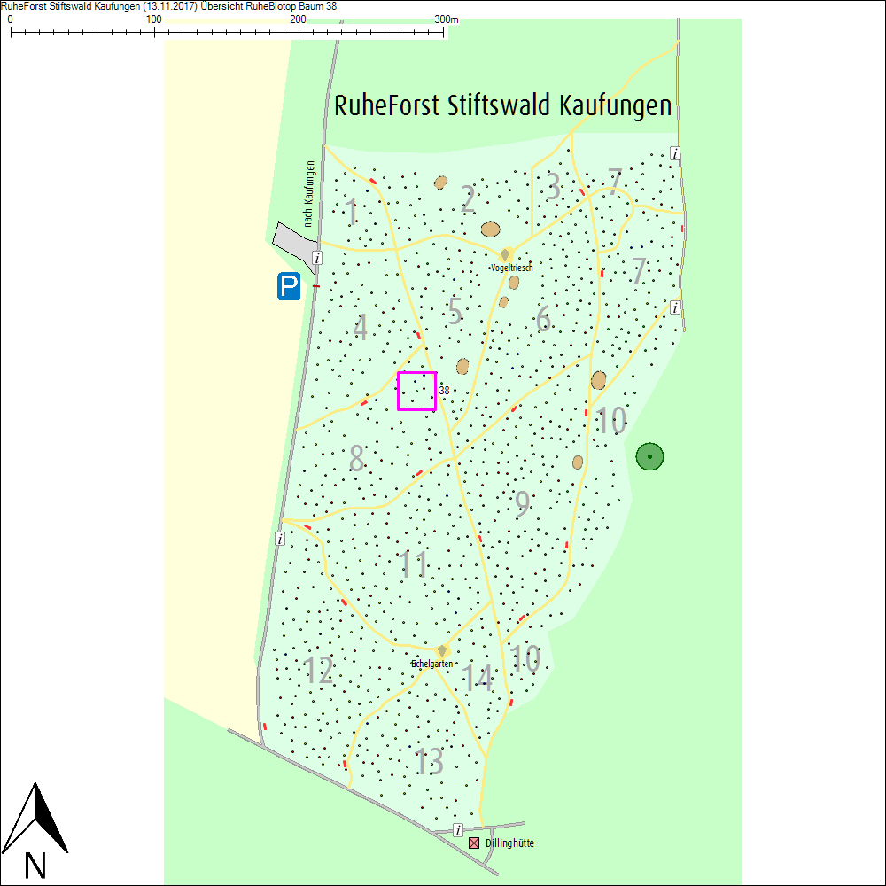 &Uuml;bersichtskarte zu Baum 38