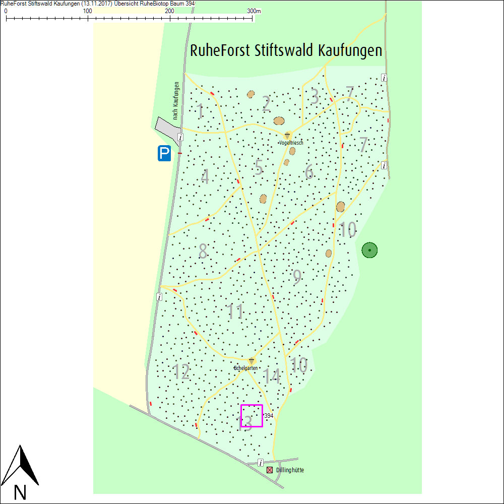 &Uuml;bersichtskarte zu Baum 394