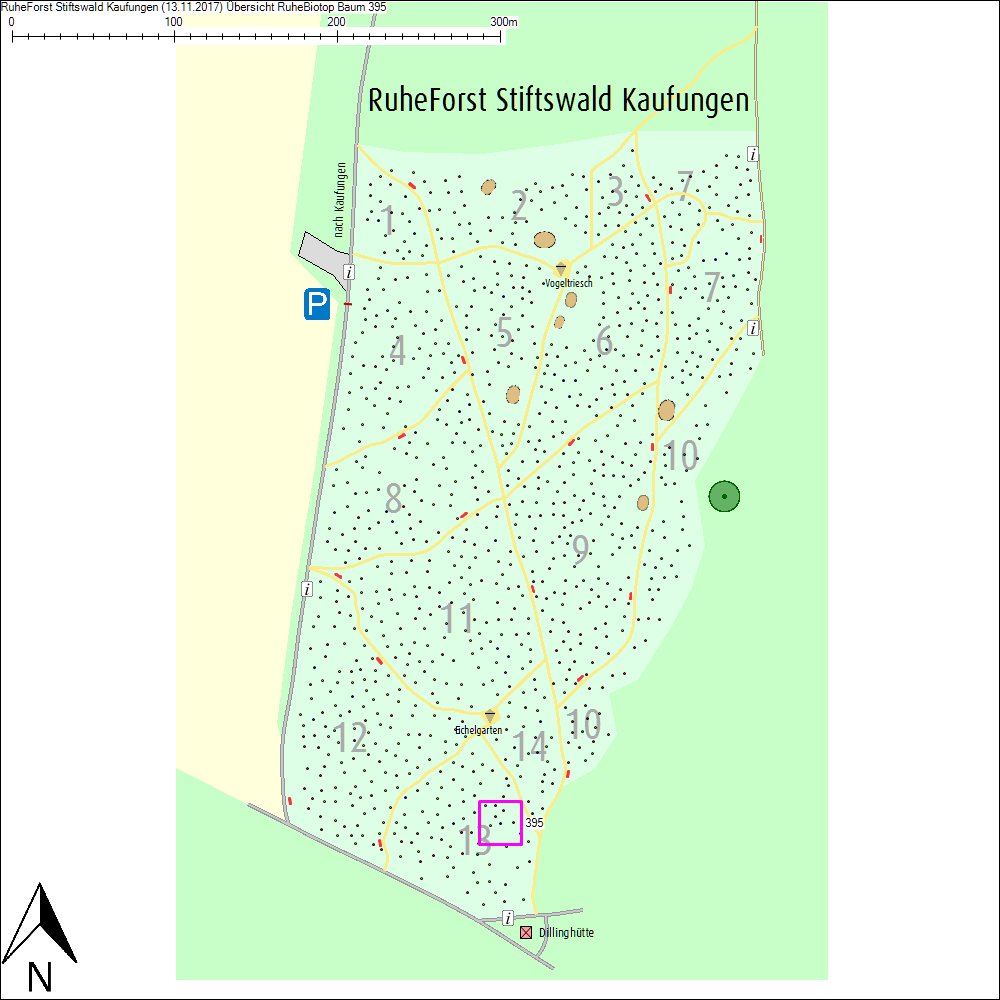&Uuml;bersichtskarte zu Baum 395