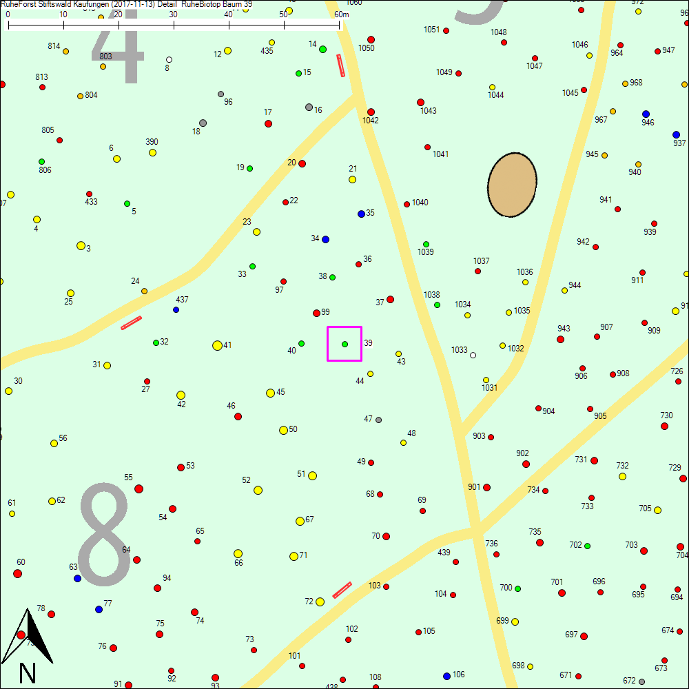 Detailkarte zu Baum 39