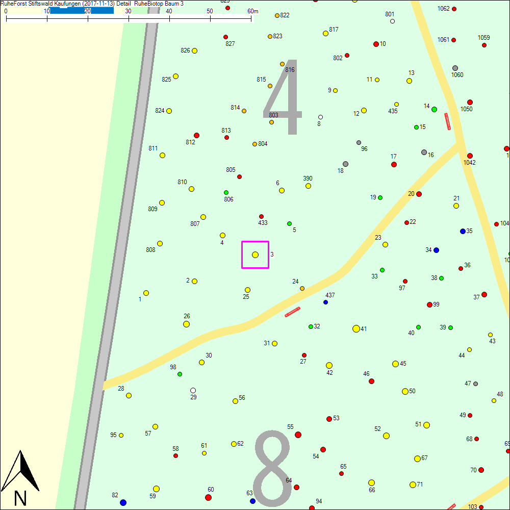 Detailkarte zu Baum 3