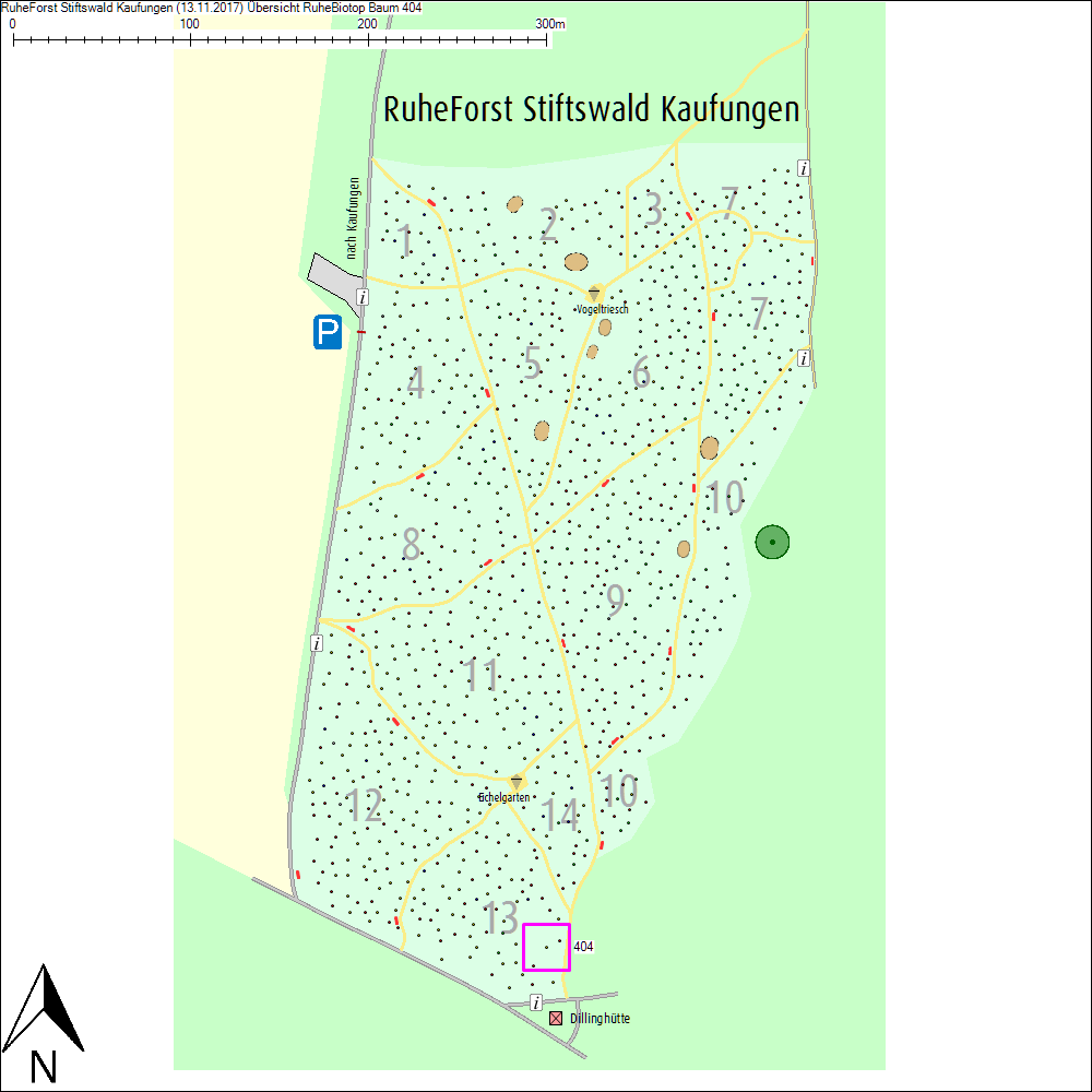 &Uuml;bersichtskarte zu Baum 404