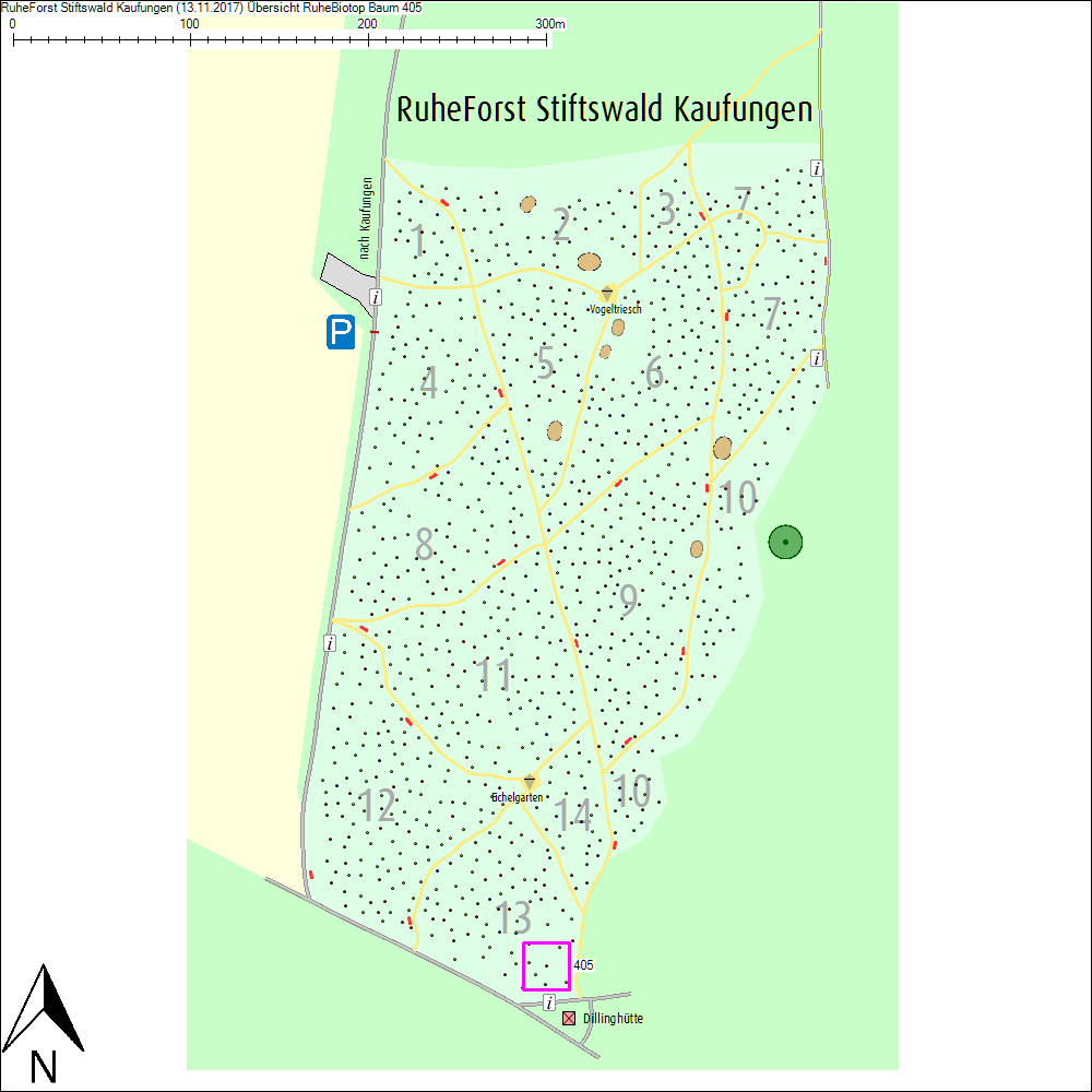 &Uuml;bersichtskarte zu Baum 405