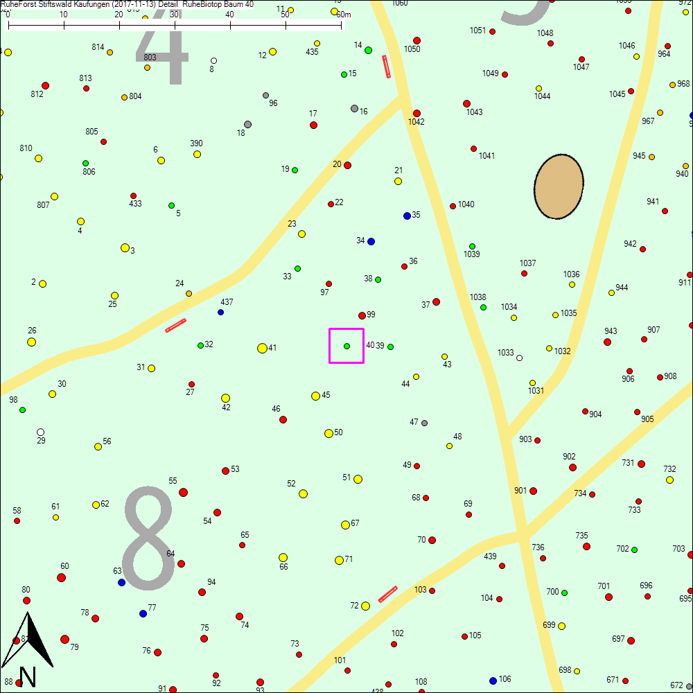 Detailkarte zu Baum 40