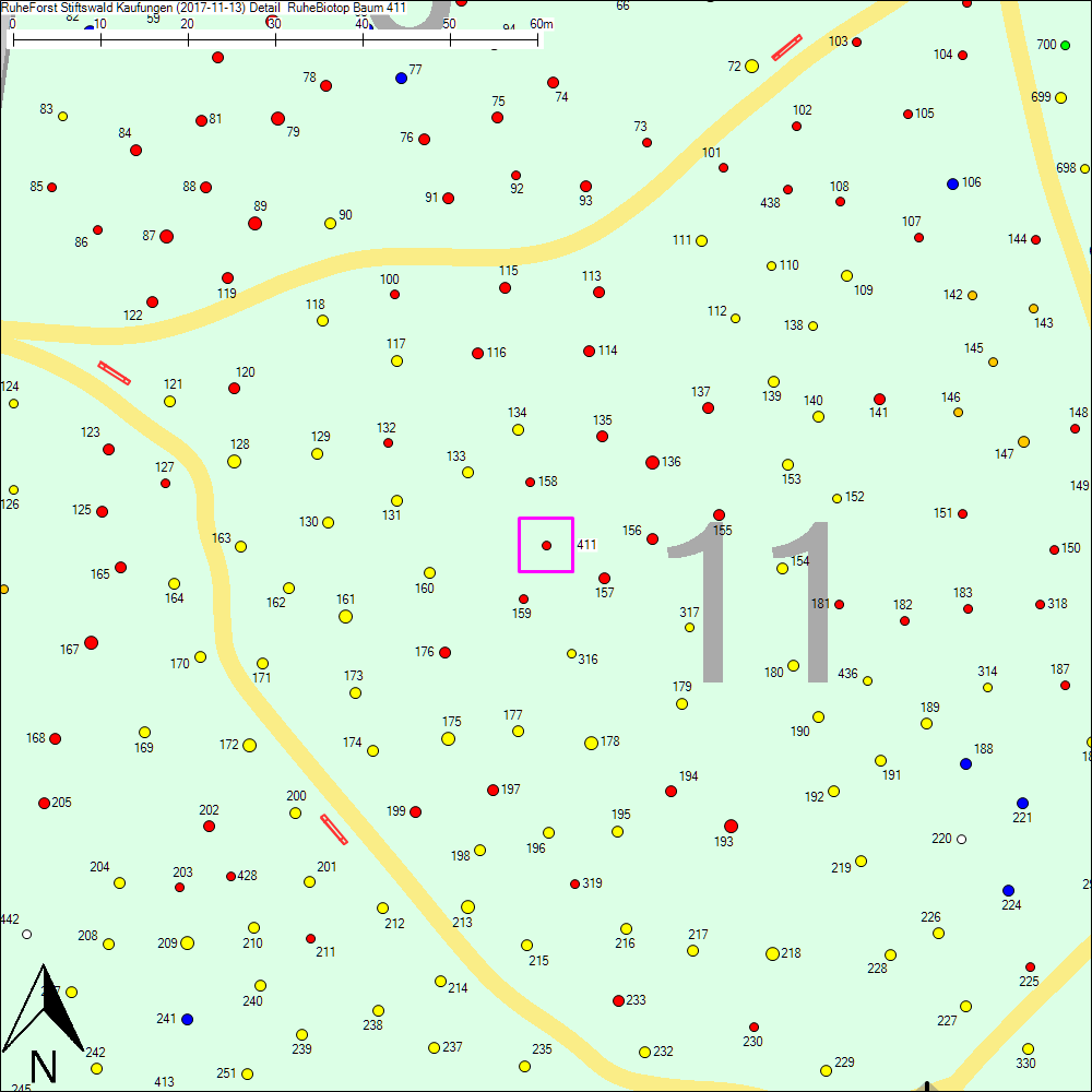 Detailkarte zu Baum 411
