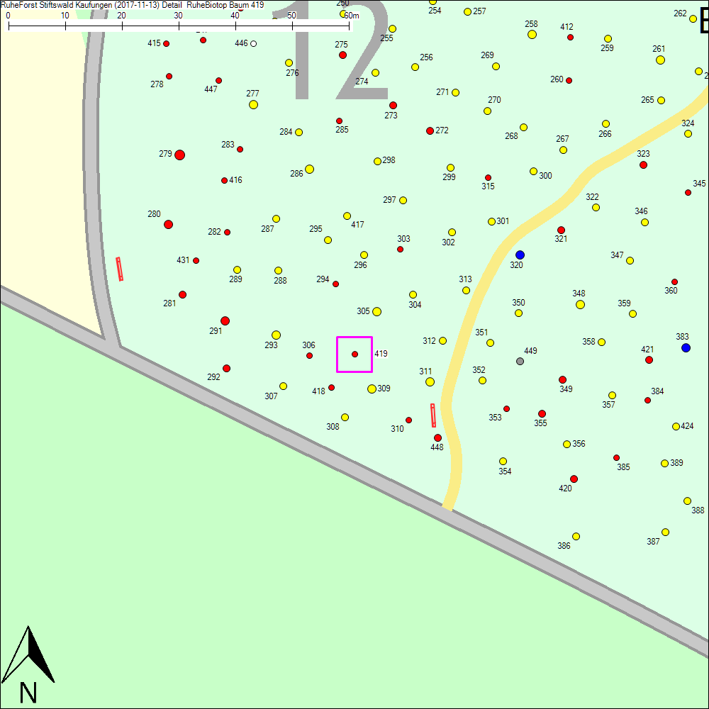 Detailkarte zu Baum 419